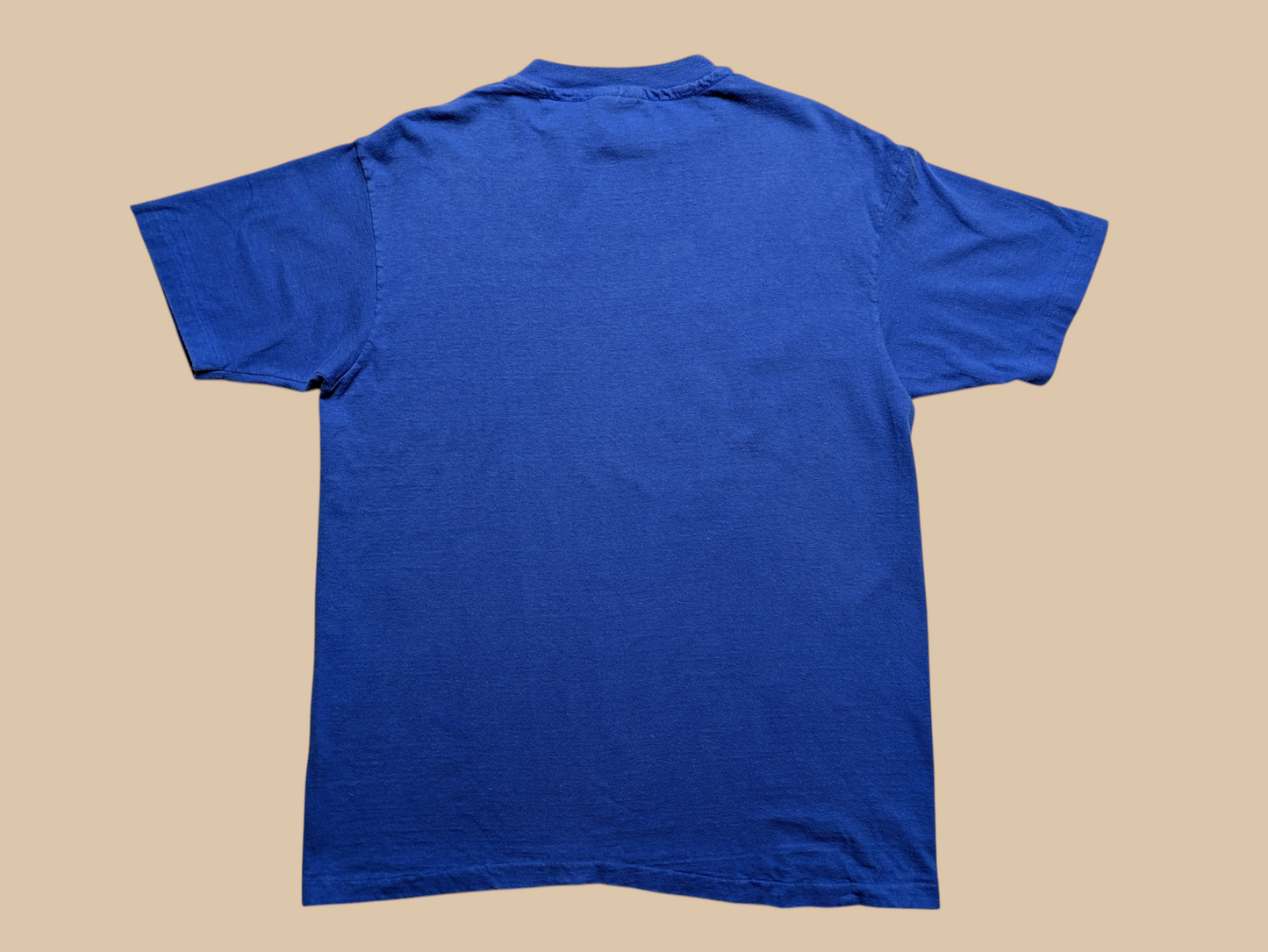 Hanes Beefy-T Blue Hilton Head SC Tee