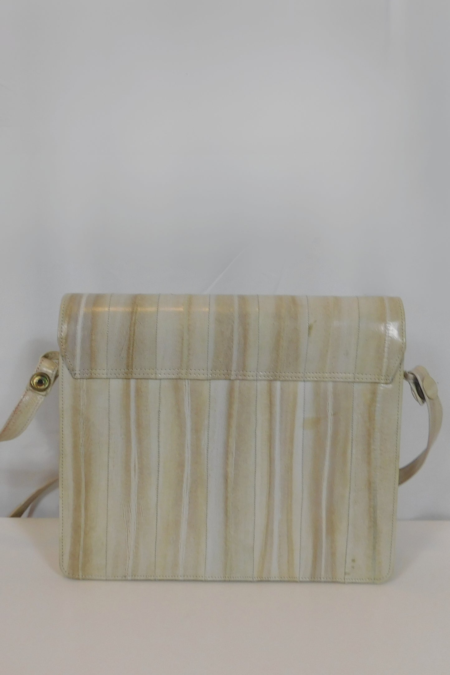 Color Of Bones Crossbody Bag